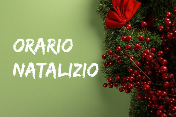 Orari di apertura durante le Festività